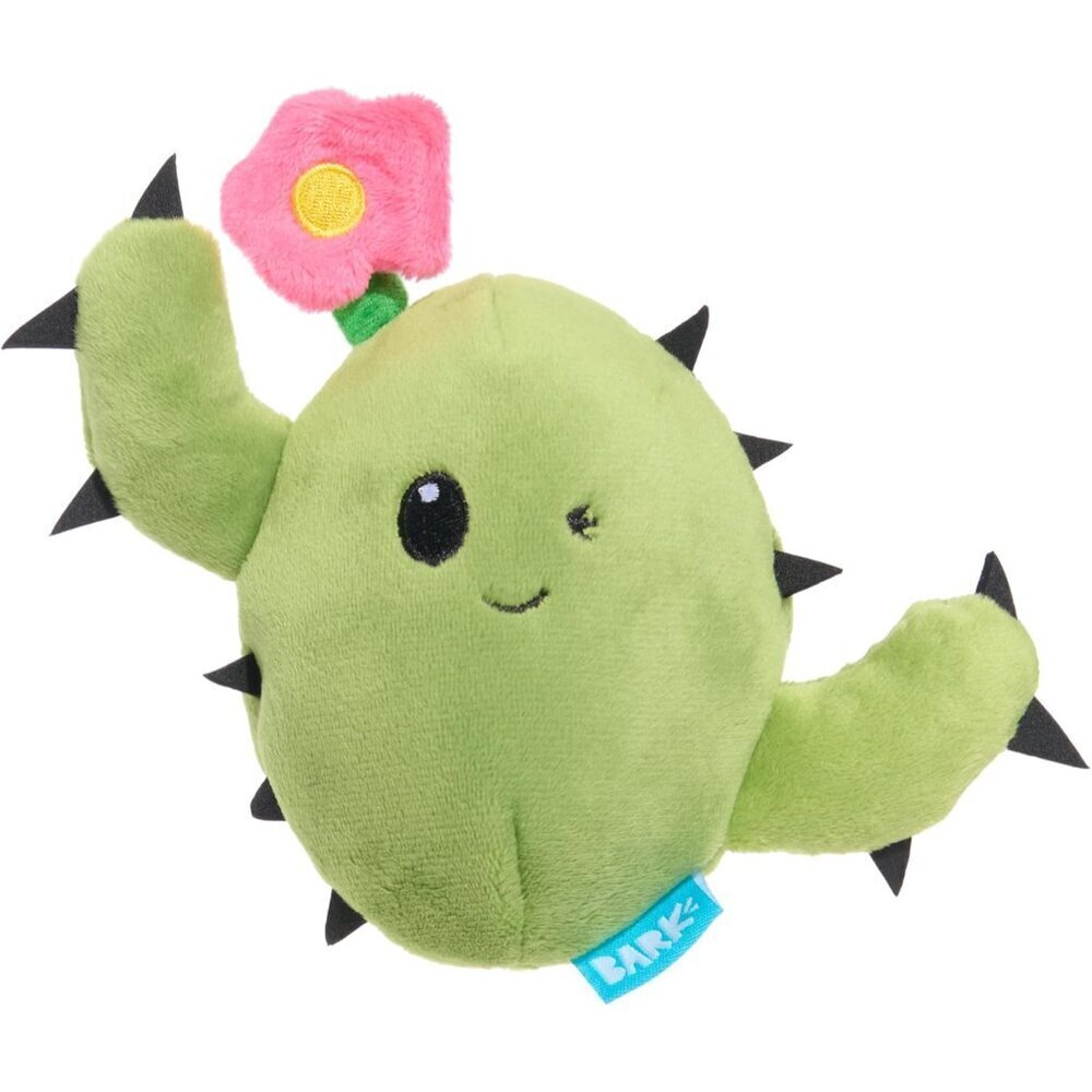 Consuela The Cactus 2-in-1 Interactive Plush Dog Toy - Squeaky Dog Chew Toy with